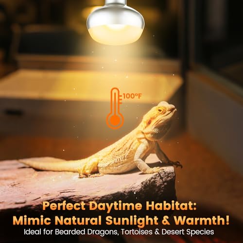 Dual Reptile Lamp Fixture with 100W Daytime Heat & 100W Nighttime Infrared Heat Bulbs, 2 Independent Switches, Reptile Heat Lamp Combo Pack - No UVB - size: ST2