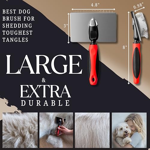 Dog Slicker Brush - Large - Protective Ball Tipped Pins Massages Pet Skin - Professional Groomer Dog Brush for Goldendoodle - Golden Retriever Brush (Large Size) - size: 8 Inch x 4.8