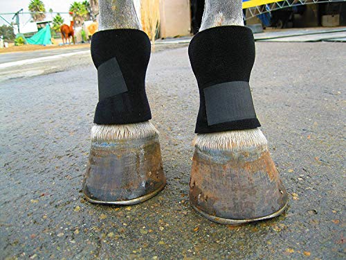 Bedsore Boots for Horses -Equine Leg Protection for Pressure Sores & Ulcers- Neoprene Stall Boots, Heal Wounds Faster, Easy On/Off, Washable & Air-Dry