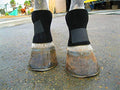 Bedsore Boots for Horses -Equine Leg Protection for Pressure Sores & Ulcers- Neoprene Stall Boots, Heal Wounds Faster, Easy On/Off, Washable & Air-Dry