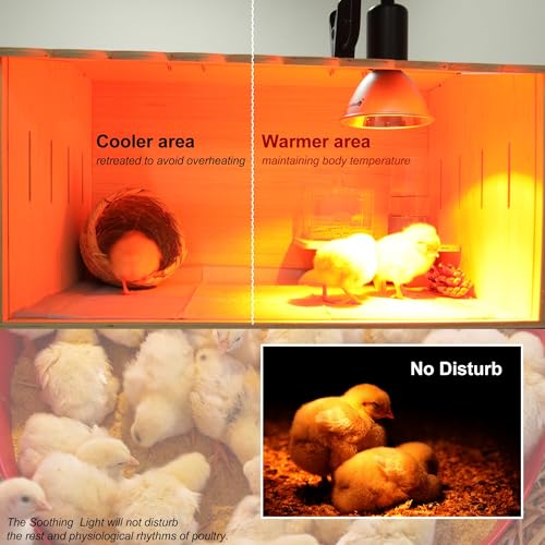 Heat Lamp for Chickens Coop Tiny Chick Brooder, Infrared Flood Light Red Bulbs Replaceable E26 Base 50 Watt Chick Heater for Reptile Pets Duckling Poultry Livestock