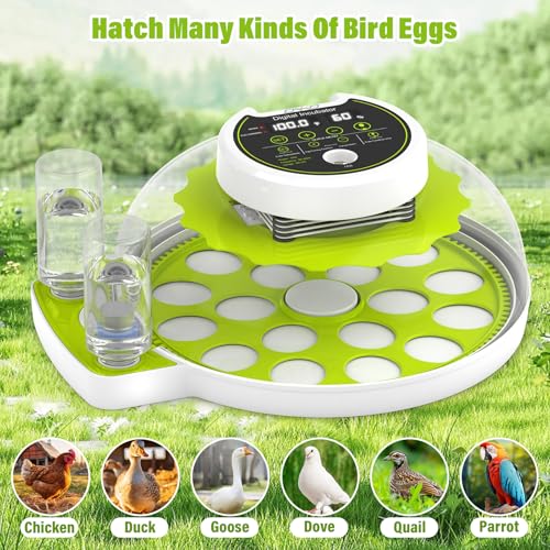 Egg Incubator with Automatic Egg Turning and Humidity Control, Chicken Incubators for Hatching Eggs, Holds 18 Eggs Encabulator for Chicken, Suitable for Hatching Chickens, Quails, Ducks,Parrots,Geese