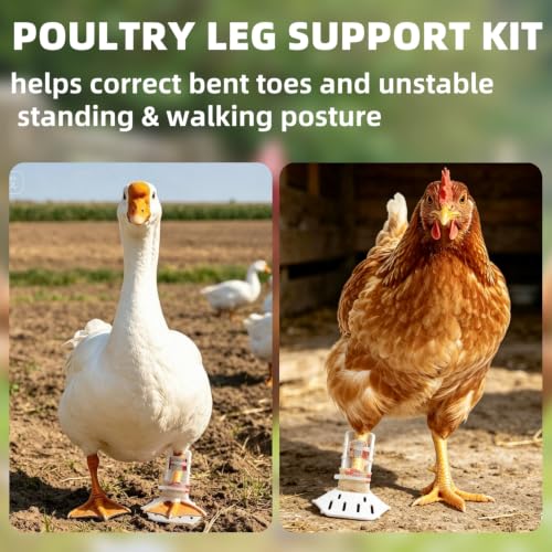 4 Sizes Poultry Leg-Splint Set, Leg Support for Injured Chicken, Goose, Duck - color: White