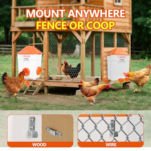 Lilyang Chicken Feeder and Waterer Set 3 Gallon, End Coop Mess | Anti-Spill Ports (3.5") & Stay-Clean Cups (2.75"), Automatic No-Waste Poultry Feeder, No-Tools Assembly - color: Tangerine