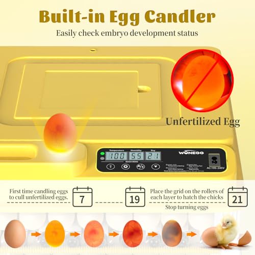 Egg Incubator 36 Eggs Incubators for Hatching Eggs Chicken Egg Incubator with Automatic Egg Turning and Humidity Display, Temperature Control Incubation Day Counter - size: 36 eggs