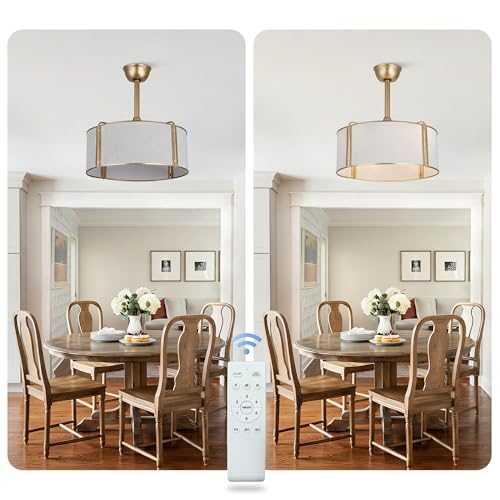 19.2" Gold Fandelier Ceiling Fan with Light Boho Caged Chandelier | for Bedroom Nursery Living Room, Mid-Century Modern Small Enclosed Bladeless, Reversible 6 Speeds, 4 E26 Bulbs (Not Included) - color: Gold Cage