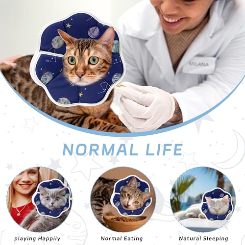 Soft Adjustable Cat Cone Collar, Comfortable Cat Recovery Collar | Suitable for Various Types of Cats,Elizabethan Neck Protective Collar for Cats After Surgery (Blue, Small) - color: Blue, size: Small