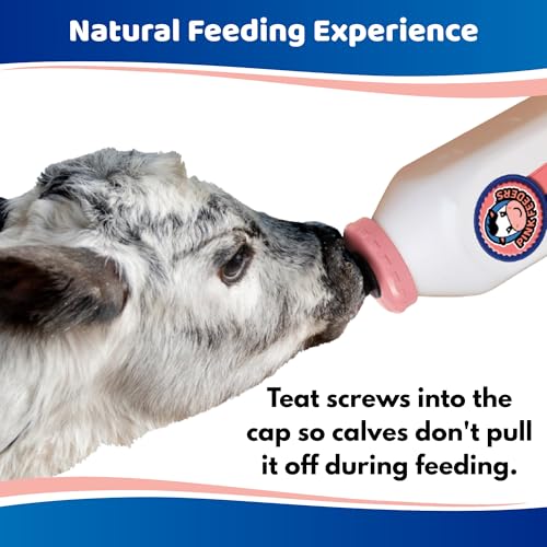 2 Quart Square Calf Bottle with Handle and Thriver Screw-in Calf Teat, Leak-Resistant Nursing Bottle with Dual Vent Airflow, Vanilla Scented Soft Rubber Nipple for Calf Feeding
