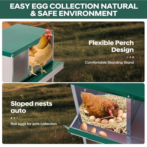 6 Compartment Chicken Nest, Stainless Steel Laying Boxes for Hens with 4 Dummy Eggs and 10 Dampproof Pets Mats, Wall Mounted or Free Standing Chicken Boxes, Roll Out Design, Green, with Stand Style