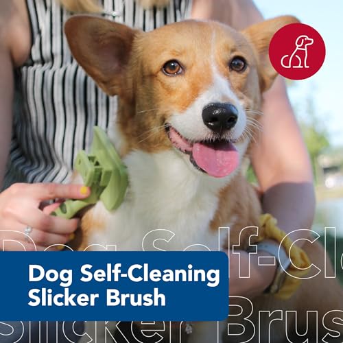 Coastal Pet Safari Dog Self-Cleaning Slicker Brush - Dog Deshedding Brush - Prevents Mats and Tangled Hair - For Dogs with Short or Long Hair - Medium - 4.25" x 4.06" - size: Medium