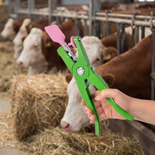 Lothee 100 Pcs Blank Cattle Ear Tags with Pliers Large Pink Plastic Precision Animal Identification Blank Livestock Ear Tags for Cattle Cow Horse Dog Pig Goat Sheep Farm Management - color: Pink