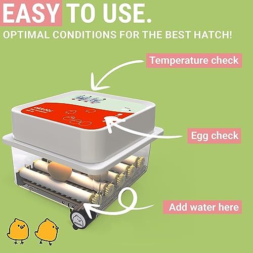 OBI-12 Egg Incubators for Hatching Eggs – Incubator for 12 Eggs with Automatic Egg Turner - Brooder for Chicken Eggs, Quail, and Duck Eggs - Orange - color: Orange