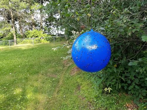 Bug Ball Deer Fly Ball Deluxe Kit - Biting Fly and Insect Trap, Pack of 3