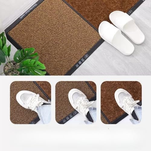 Disinfection Floor Pad Mat Sanitizing Floor Mat Multifunction Entrance Mat Footbath Rug Shoe Home Hotel (Brown) - color: Brown