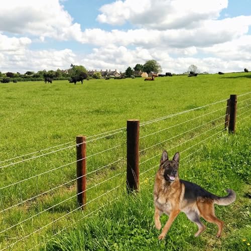 Farm Fence 3ft x 164ft Heavy Zinc Coating Cattle Fence,Galvanized Field Wire Fencing Deer Goat Hog Wire Fencing for Yard Livestock & Animals Protection - size: Silver 36inx164ft