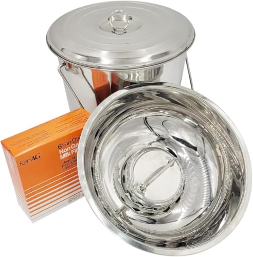 SS Strainers (Large Strainer & Pail Combo, 10 L Pail & Large Strainer Combo) - color: 10 L & Large Strainer Combo, size: Large