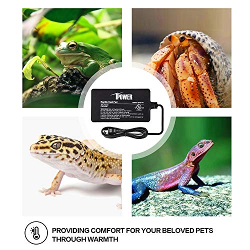 iPower Reptile Heat Pad 4W Under Tank Terrarium Warmer Heating Mat for Turtles Lizards Frogs and Other Small Animals, 4x7 Inch - size: 4" x 7", style: Heat Pad