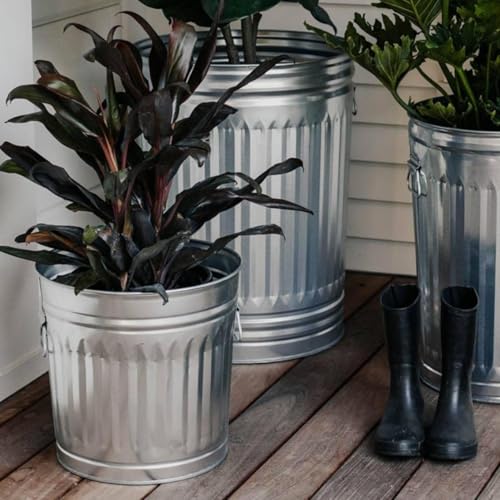 Large Metal Trash Can with Lid 31 Gallon, Heavy Duty Galvanized Outdoor Bucket for Garage, Workshop, Ash Storage, Decorative Silver Farmhouse Trash Bin with Lid
