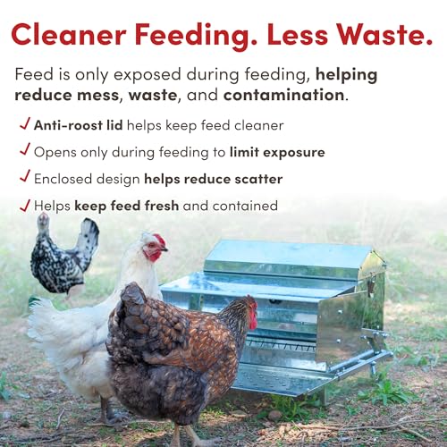 RentACoop Automatic Treadle Chicken Feeder - 25 lb Capacity - style: 25LB Treadle Feeder