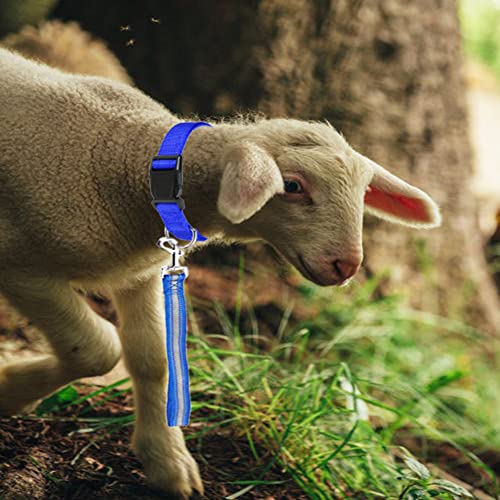 Goat Lead and Goat Collars Set Small Farm Animal Goat Sheep (Blue) | 4 Pieces Nylon 11 inch Sheep Lead with Reflective Strip Design and Nylon Goat Collar - color: Blue