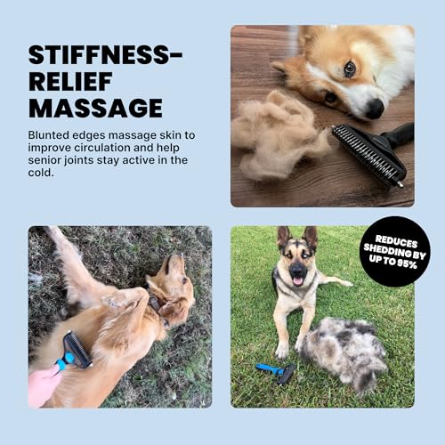 MalsiPree Dog Brush - Large Black, 2-in-1 Undercoat & Dematting Rake | 2-in-1 undercoat rake & dematting brush - deshedding tool - Use for medium to large double-coated dogs & cats
