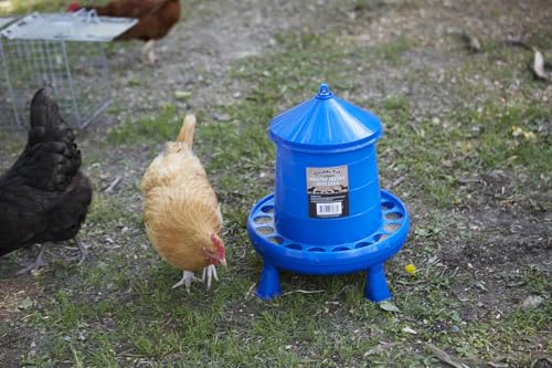 Double-Tuf® Poultry Feeder with Legs | Durable Feeding Container | Carrying Handle for Chickens & Birds | Chicken Feeder | 17.5 Lbs - size: 17.5 lbs