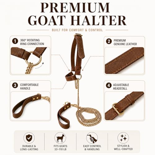 Adjustable Genuine Leather Goat Halter with Chain Lead, Premium Show Goat Halter for Training, Elegant Livestock Handling Supplies, Durable Goat Head Collar for Goats (33–110 lb)