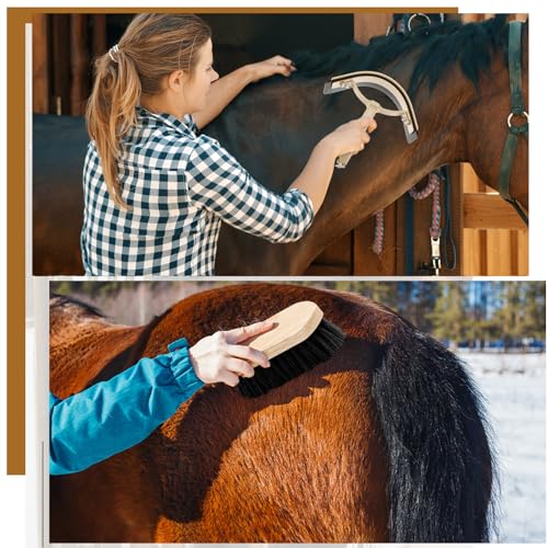Abbylike 12 Pieces Horse Grooming Kit Racing Festival Tack Room Supplies Horse Brush Sets Equine Care Cleaning Kit Shedding Grooming Massaging Tools(Black) - color: Black
