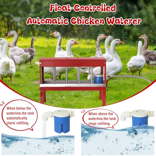 Automatic Chicken Waterer Stainless Steel with Hose Large Poultry Dispenser | Float Valve&Detachable Legs,Fits 3/4" GHT, No Mess 10 Drinking Holes, Rust-Proof, For Chickens, Ducks,Geese & Turkeys