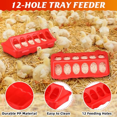 4 Pack 6l Heated Chicken Feeder and Waterer Kit Poultry Waterer Fountain with Leg Support for Chicks Coop Feeding Farm Supplies Birds Duck