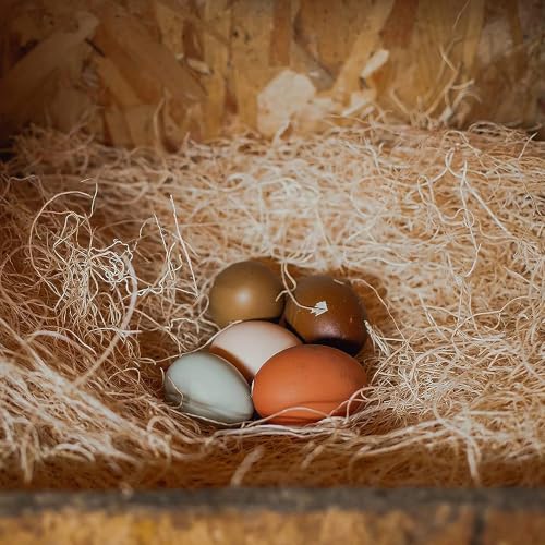 Eaton Pet and Pasture Nesting Pads for Laying Hens, 13 x 13 in, 10-Pack | Poultry Coop Nesting Box Pads for Egg-Laying Hens