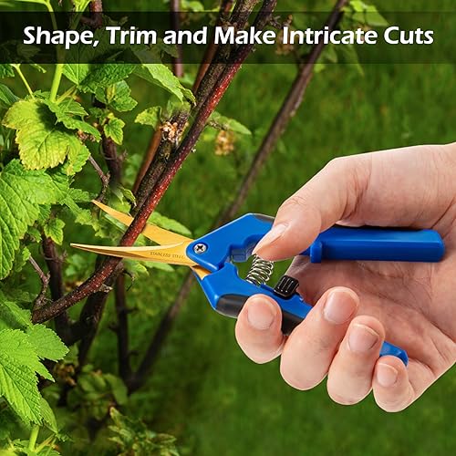 GROWNEER 3 Packs 6.5 Inch Pruning Shears with Curved Blades Trimming Scissors For Gardening Hand Pruning Snips Titanium Coated Precision Blades - style: Blue