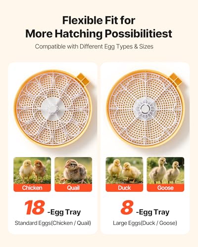 VEVOR 18 Egg Incubator, Automatic Egg Turner with LED Candler, Temperature & Humidity Control, 360° View Clear Window, Auto Water Refill, Poultry Eggs Incubators for Hatching Chicks Ducks Goose Quail | for Hatching Chicks Ducks Goose Quail, LED Candler, T
