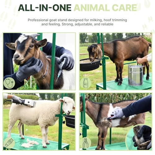 Goat Stand with Adjustable Headpiece & Legs, Goat Milking Stand with Feeder, Rails & Wheels, Stanchion for Grooming & Hoof Trimming, Sheep Stand for Shearing Heavy-Duty Steel Platform, Green - color: GREEN