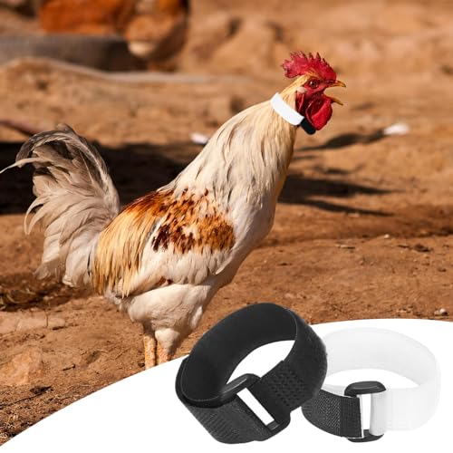 M METERXITY 10-Pack Rooster Collars, 8.07" x 0.79" Adjustable Soft Polyester Anti-Noise Neck Belt for Chickens and Poultry Birds, Noise Control Collar [Black/White] - color: Black/White