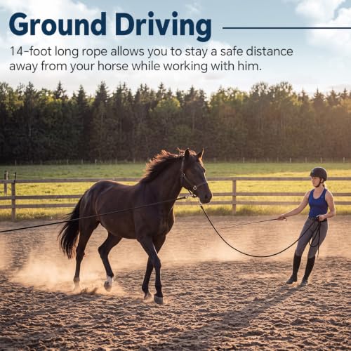 14ft Training Lead Rope, 5/8'' Thick Braided Horse Lead, Black | Cotton Web Lunge Line, Solid Metal Trigger Snaps, for Horse Training Lunging Ground Driving Daily Leading Equine