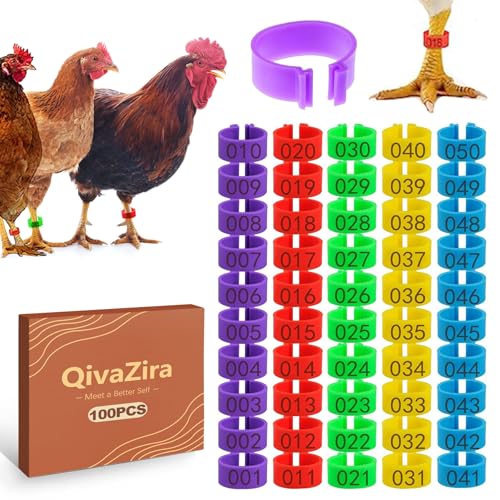 100 Pcs Chicken Leg Bands 16mm Colorful Numbered Poultry Tags for Identification Clip on Leg Rings for Ducks Chicks Goose Gamefowl Turkey Birds