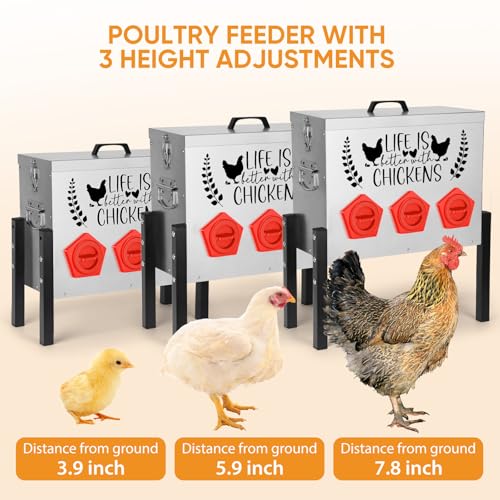 ‎Tgeyd 30 lb Large Capacity Automatic Chicken Feed Box with 6 Upgraded House-Shaped Flow Ports, Heavy-Duty Outdoor Metal Feeder with Adjustable Height & Locking Lid - color: Cockscomb Red