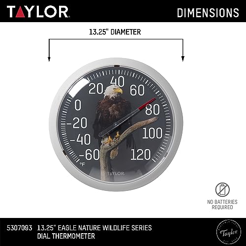 Taylor Nature Series Eagle Indoor Outdoor Dial Thermometer, Easy to Read Wall Decor for Patio, Pool, Yard, Garden or Garage, 13.25 Inch, Gray Bezel - style: Eagle