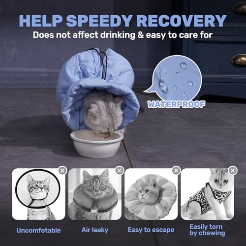 Adjustable Cat Recovery Cone Collar, Lightweight Soft Cat E-Collar Alternative After Spay, Waterproof Comfy Collars to Stop Licking Wound After Surgery, Protective Cone for Kittens/Puppies - color: Sky Blue, size: Medium