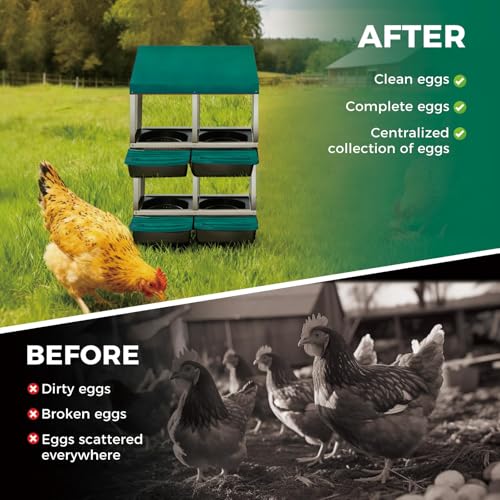 Galvanized Steel 2-Tier 4 Compartment Chicken Nesting Box with Pull Out Tray, Roll Away Nest Boxes for Laying Hens Egg Collection, Wall Mount Poultry Nest Box for Coop with Handle, Green - color: Green, size: 2 Tire 4 Compartments
