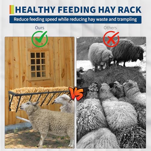 Garvee Hay Feeder for Horses, 63'' Long Hay Rack | with 67 Gallon Large Capacity, Heavy Duty Carbon Steel Wall Mounted Feeder Rack for Horses, Goats, Sheep in Stable and Farm - size: 63 inch