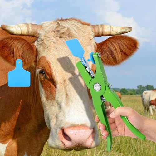 Lothee 100 Pcs Blank Cattle Ear Tags with Pliers Large Blue Plastic Precision Animal Identification Blank Livestock Ear Tags for Cattle Cow Horse Dog Pig Goat Sheep Farm Management - color: Blue