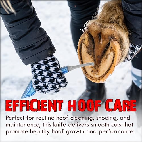 Sultan Shine Dual Sided Hoof Knife Trimmer with Ultra-Sharp J2 Japanese Stainless Steel Narrow Blade, Ergonomic Handle – Professional Farrier Tool for Horses, Cows & Farm Livestock (Right-Handed)