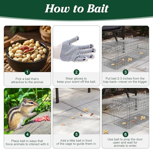Humane Animal Trap, 23.3"x7.2"x7.7" Foldable Live Cage Traps | for Kitten Rabbits Racoons Beavers Groundhogs and Other Live Animals, Easy to Catch and Release, Work for Indoor Outdoor - size: 23.31"x7.21"x7.71"