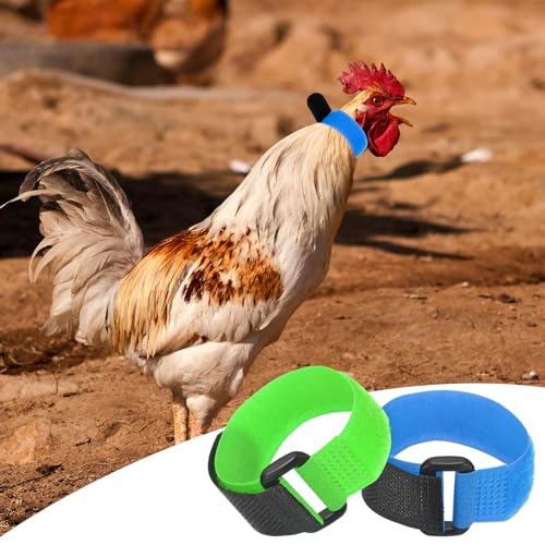 M METERXITY 10-Pack Rooster Collars, 8.07" x 0.79" Adjustable Soft Polyester Anti-Noise Neck Belt for Chickens and Poultry Birds, Noise Control Collar [Blue/Green] - color: Blue/Green