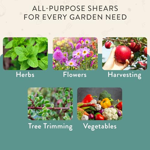 Modern Sprout Pruning Shears - Garden Snips - Herb Scissors - Ocean 1-Pack | Lightweight Gardening Tool - Durable Carbon Steel Blade W/Easy-Lock - Gardening Supplies - Flower Cutter - Reusable Holster - color: Ocean
