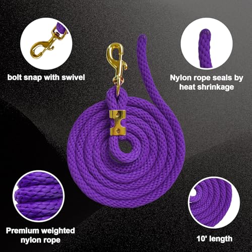 5/8" x 8' Nylon Horse Lead Rope with Cast Iron Hardware(Purple) | Durable nylon material, cast iron hardware, ideal for daily use, training and showing. - color: Purple
