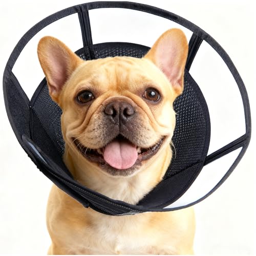 Soft Dog Cone, Stop Licking Deep Pet Recovery Collar After Surgery for Large Medium Dogs, Clear Plastic Breathable Elizabethan Head Neck Circle, Adjustable Comfortable Cones 20cm /8" Long (M Black) - color: Black, size: M(Neck:12.25-14.25")