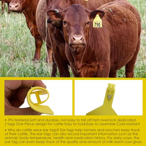Blank One-Piece Cattle Ear Tags 50Pcs Large Size TPU Z Tags Ear Tags&Marker Pen for Livestock Identification Suitable for Cow,Sheep,Goat,Pig (Green-B) - color: Green-b